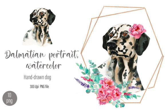 Dalmatian Portrait Watercolor Dog Flower Illustrations
