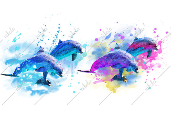 Dolphin Sublimation Watercolor Illustrations