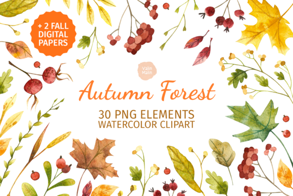 Fall, Autumn Leaves Watercolor Clipart and Illustrations