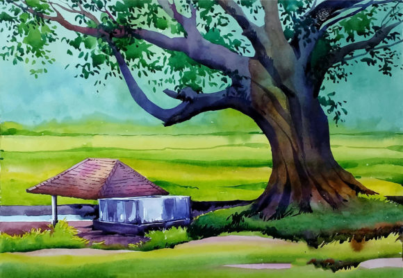 Hand Drawn Watercolor Tree in the Park Illustrations