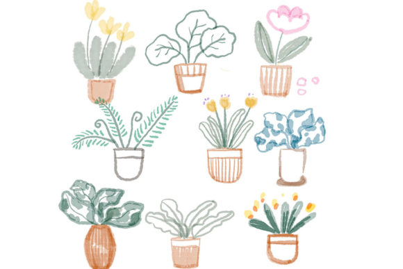 Japanese Botanical Watercolour Flowers Illustrations