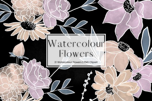 Pink, Orange Watercolour Flowers Illustrations
