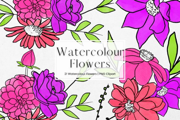 Pink, Purple Watercolour Flowers Illustrations