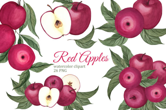 Red Apples Watercolor Clipart. Autumn Illustrations