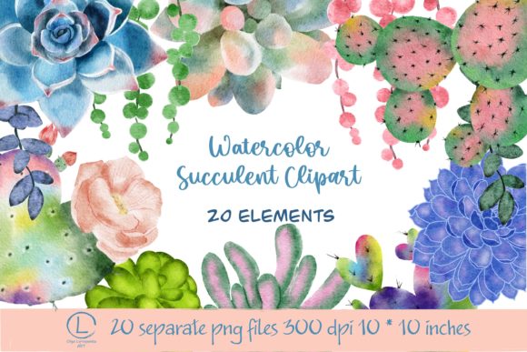 Succulent Watercolor Clipart Png Files and Illustrations