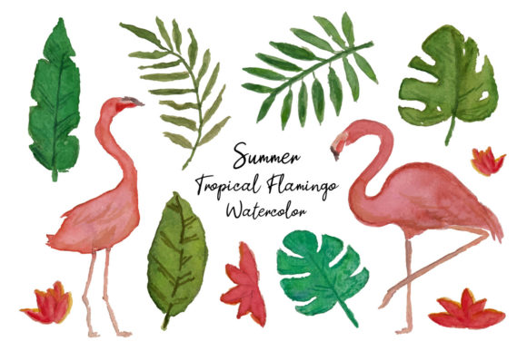 Summer Tropical Flamingo Watercolor Illustrations