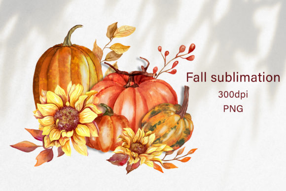 Watercolor Autumn Sunflowers and Pumpkin Illustrations
