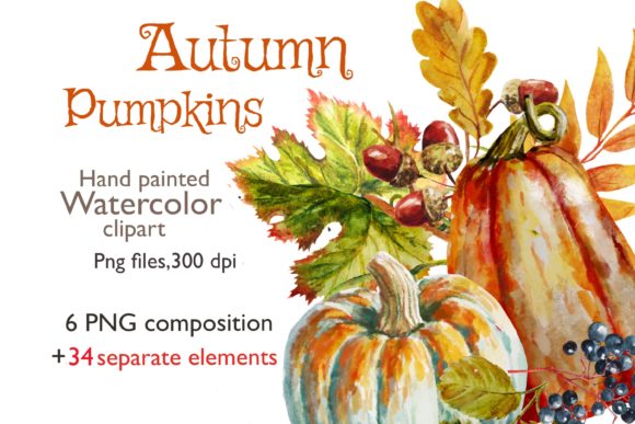 Watercolor Clipart Autumn Arrangements