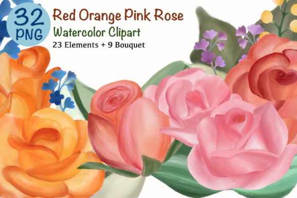 Watercolor Clipart Red Orange Pink Rose and Illustrations
