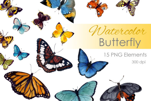 Watercolor Clipart. Watercolor Digital
