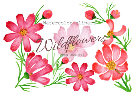 Watercolor Clipart Wildflowers Pink PNG