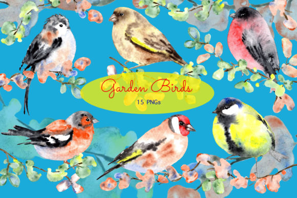 Watercolor Garden Birds Clip Art Set and Illustrations