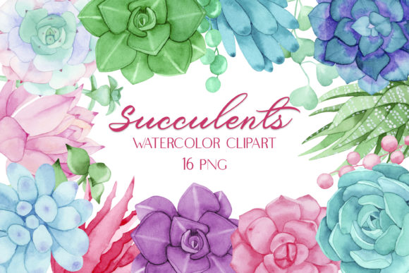 Watercolor Succulents Botanical Clip Art and Illustrations
