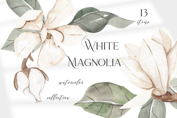 White Magnolia Clipart, Watercolor Flora Illustrations